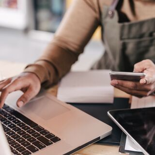 Self-Employment Assistance Program