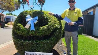 Topiary artist next to hedge
