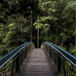 Tim swaan e Opewngf68w unsplash
